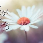 Be beautiful, be yourself