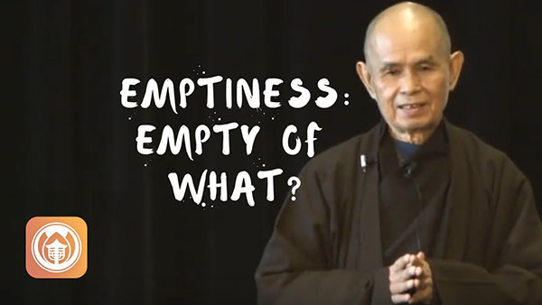 Emptiness: Empty of What?