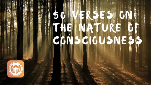 50 Verses on the Nature of Consciousness