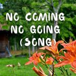 No coming, no going