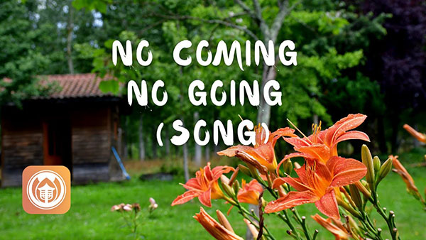 No coming, no going